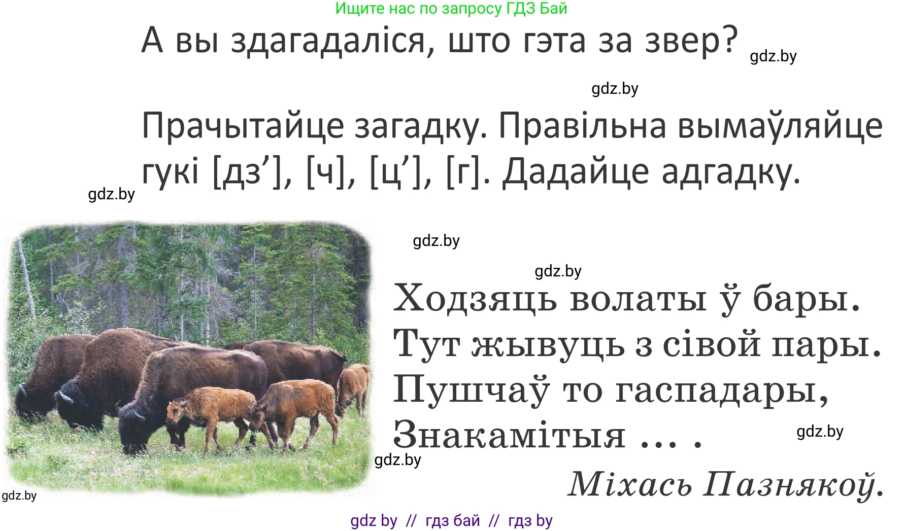 Літаратурнае чытанне, 2 класс Учебник, авторы: Антонава Надзея Уладзіславаўна, Буторына Ірына Аляксандраўна, Галяш Галіна Аксеньеўна, издательство Нацыянальны інстытут адукацыі, Минск, 2021, жёлтого цвета, Часть 1, страница 74, Условие