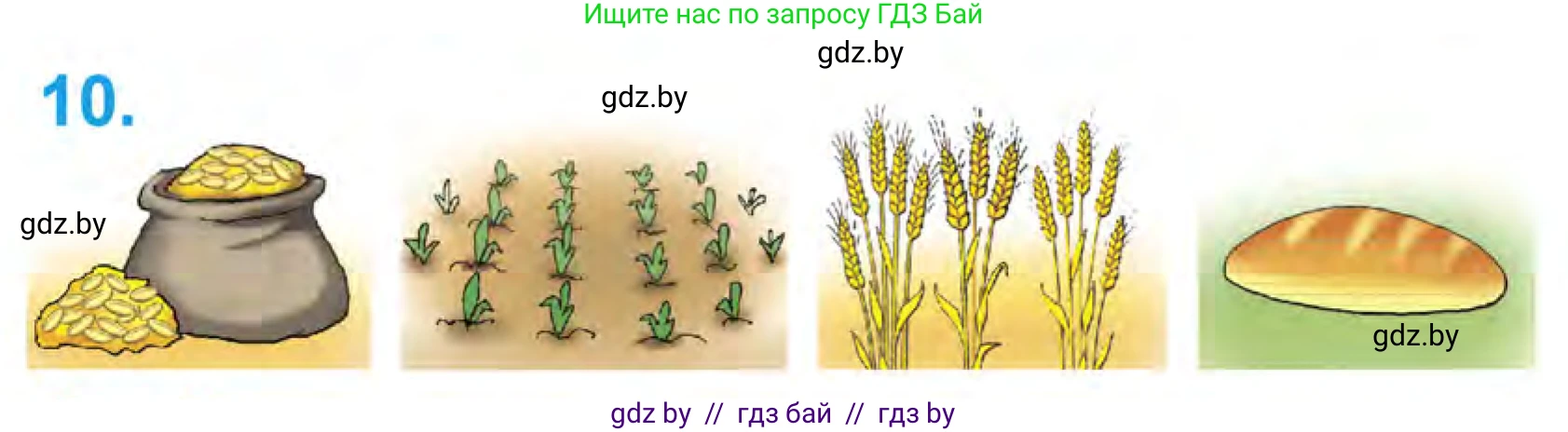 Математика, 1 класс Учебник, авторы: Муравьева Галина Леонидовна, Урбан Мария Анатольевна, издательство Академия образования, Минск, 2024, Часть 1, страница 34, номер 10, Условие
