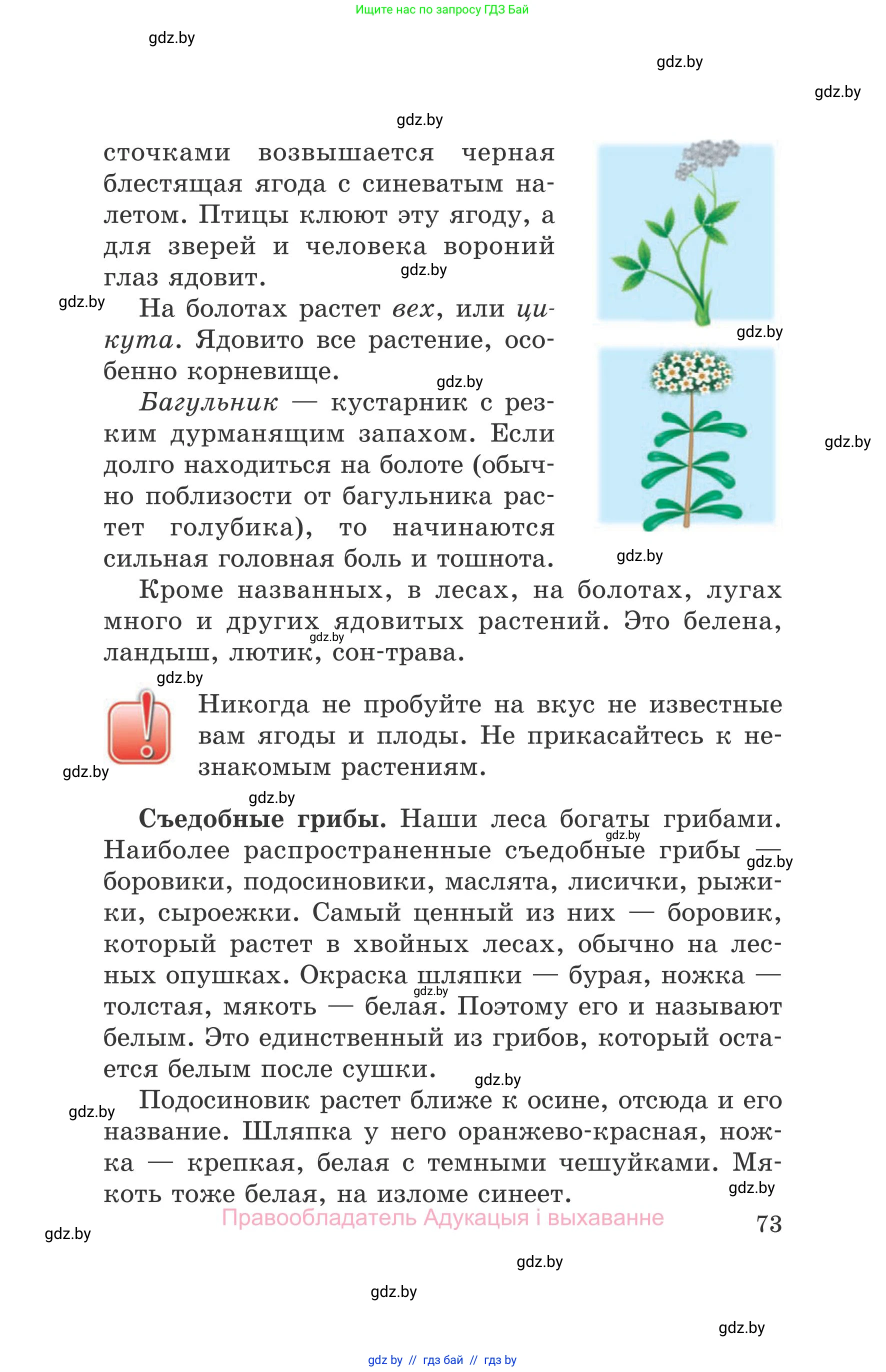 Обж, 5-6 класс Учебник, автор: Фатин Сергей Брониславович, издательство Адукацыя i выхаванне, Минск, красного цвета, страница 73