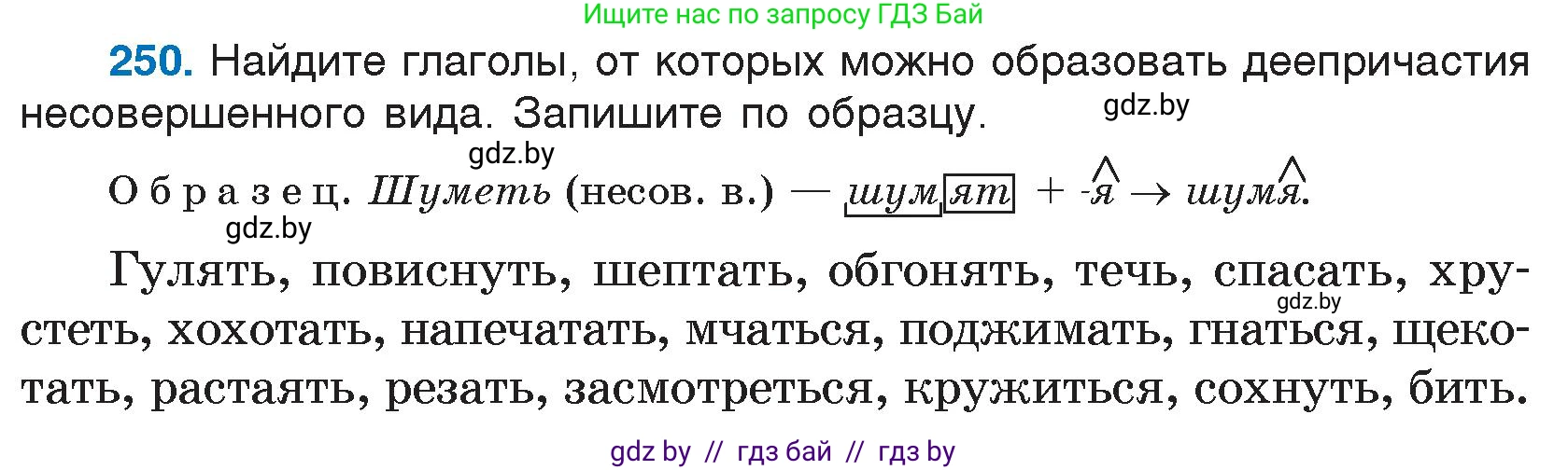 Русский язык, 7 класс Учебник, авторы: Волынец Татьяна Николаевна, Литвинко Франя Михайловна, Долбик Елена Евгеньевна, Таяновская И В, Винник И Р, издательство Национальный институт образования, Минск, 2020, бирюзового цвета, страница 123, номер 250, Условие