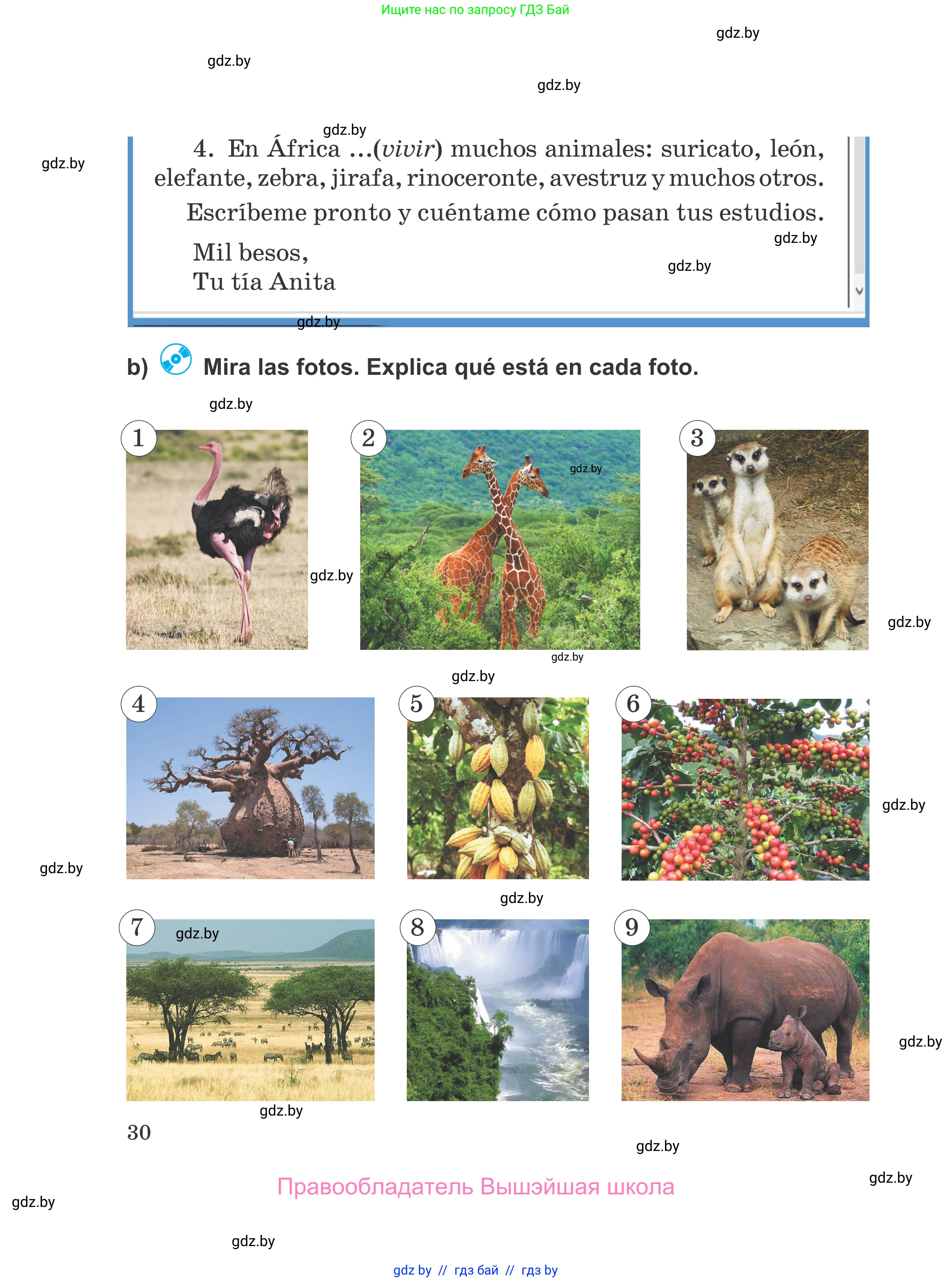 Испанский язык, 5 класс Учебник, авторы: Цыбулева Татьяна Эдуардовна, Пушкина Ольга Александровна, издательство Вышэйшая школа, Минск, 2017, оранжевого цвета, страница 30