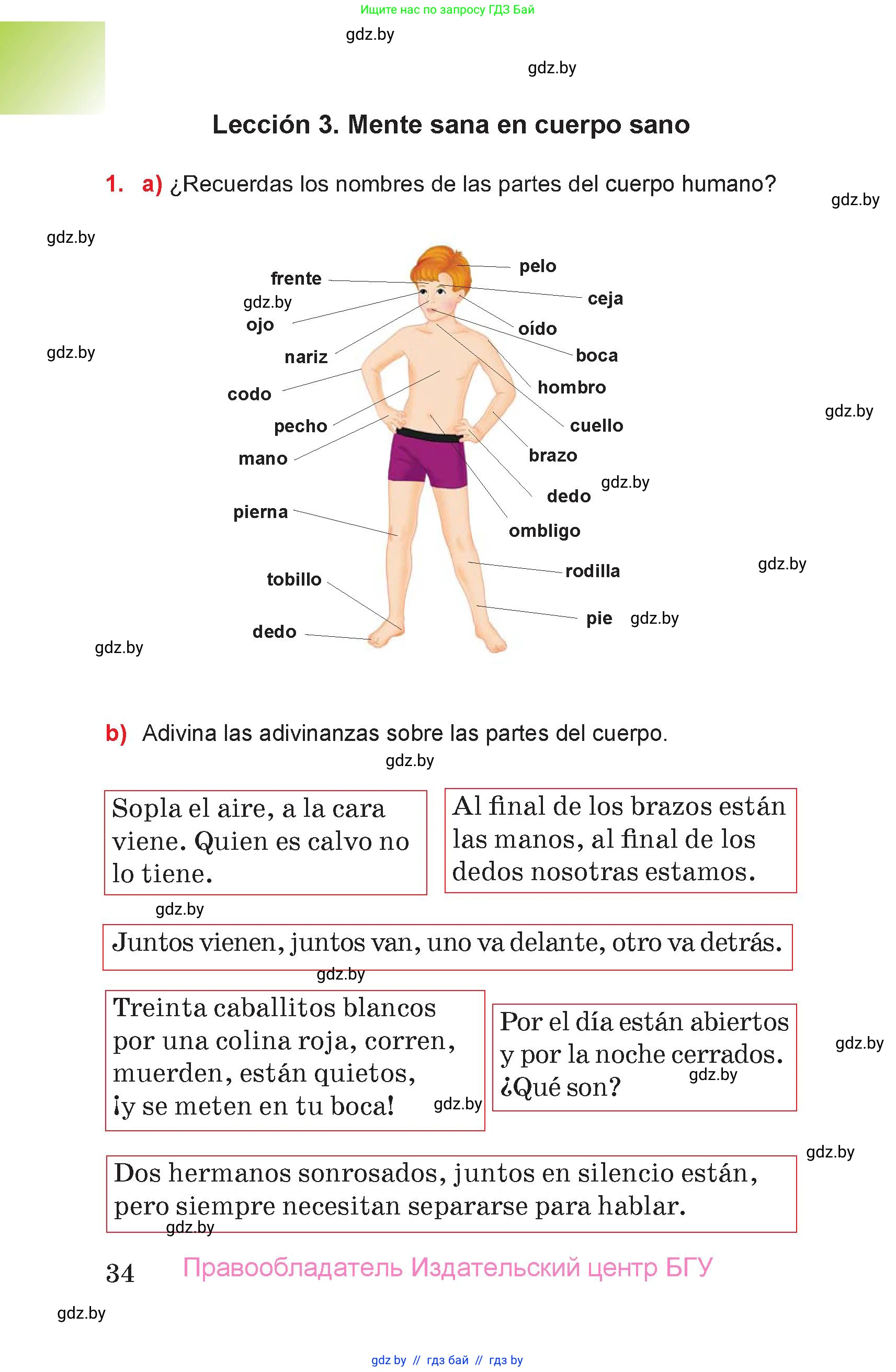 Испанский язык, 7 класс Учебник, авторы: Цыбулева Татьяна Эдуардовна, Пушкина Ольга Александровна, Карпиевич Галина Константиновна, издательство Издательский центр БГУ, Минск, 2019, бирюзового цвета, Часть 2, страница 34