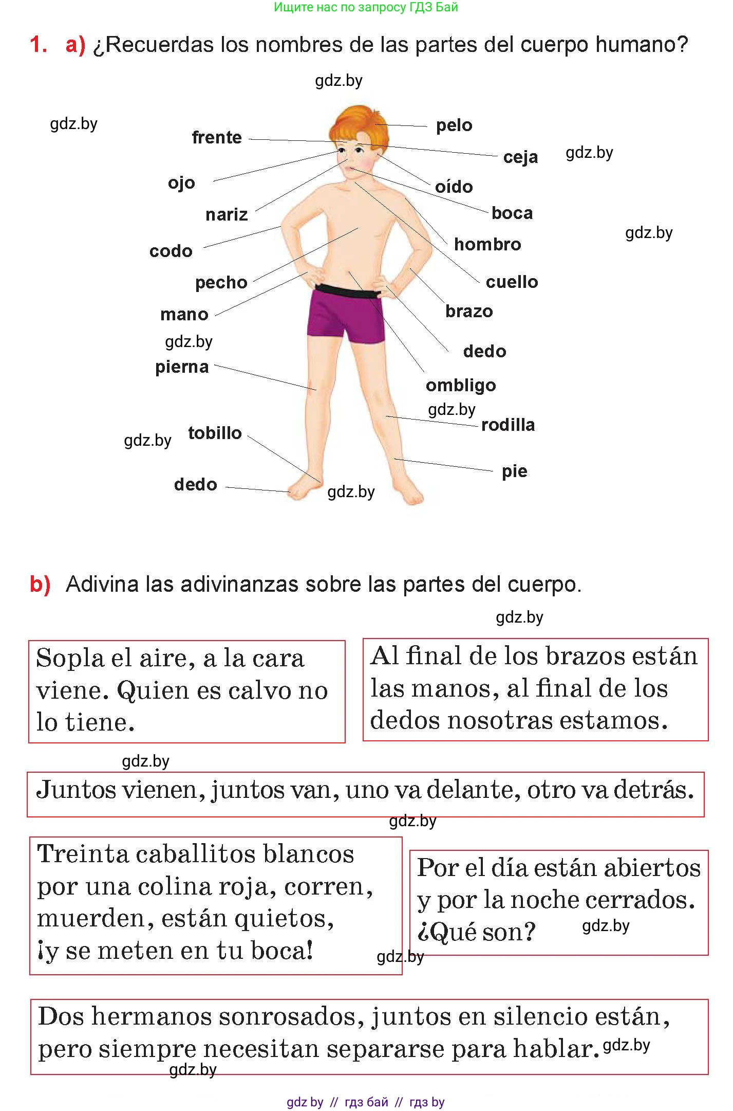Испанский язык, 7 класс Учебник, авторы: Цыбулева Татьяна Эдуардовна, Пушкина Ольга Александровна, Карпиевич Галина Константиновна, издательство Издательский центр БГУ, Минск, 2019, бирюзового цвета, Часть 2, страница 34, номер 1, Условие