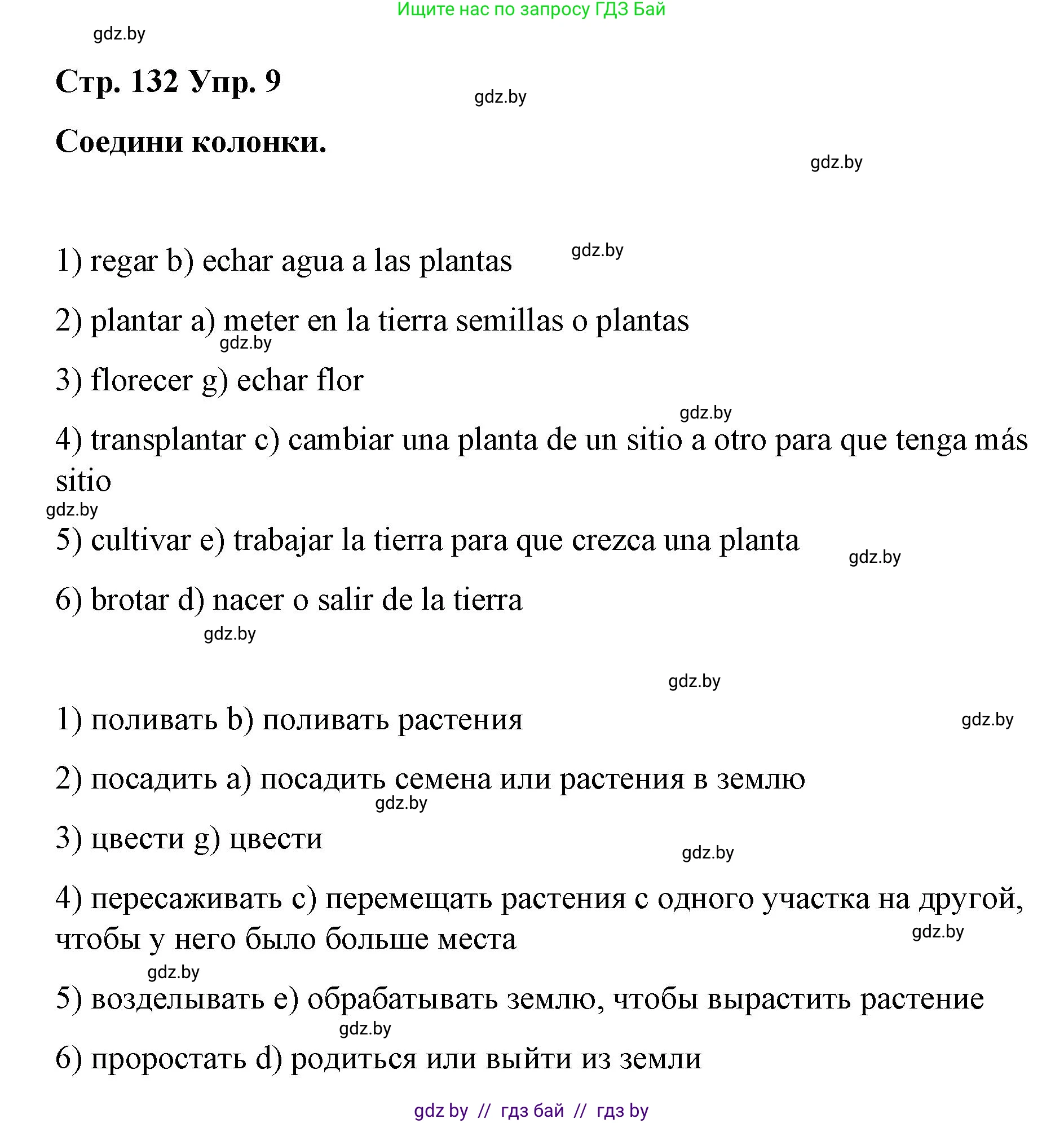 Испанский язык, 7 класс Учебник, авторы: Цыбулева Татьяна Эдуардовна, Пушкина Ольга Александровна, Карпиевич Галина Константиновна, издательство Издательский центр БГУ, Минск, 2019, бирюзового цвета, Часть 2, страница 132, номер 9, Решение