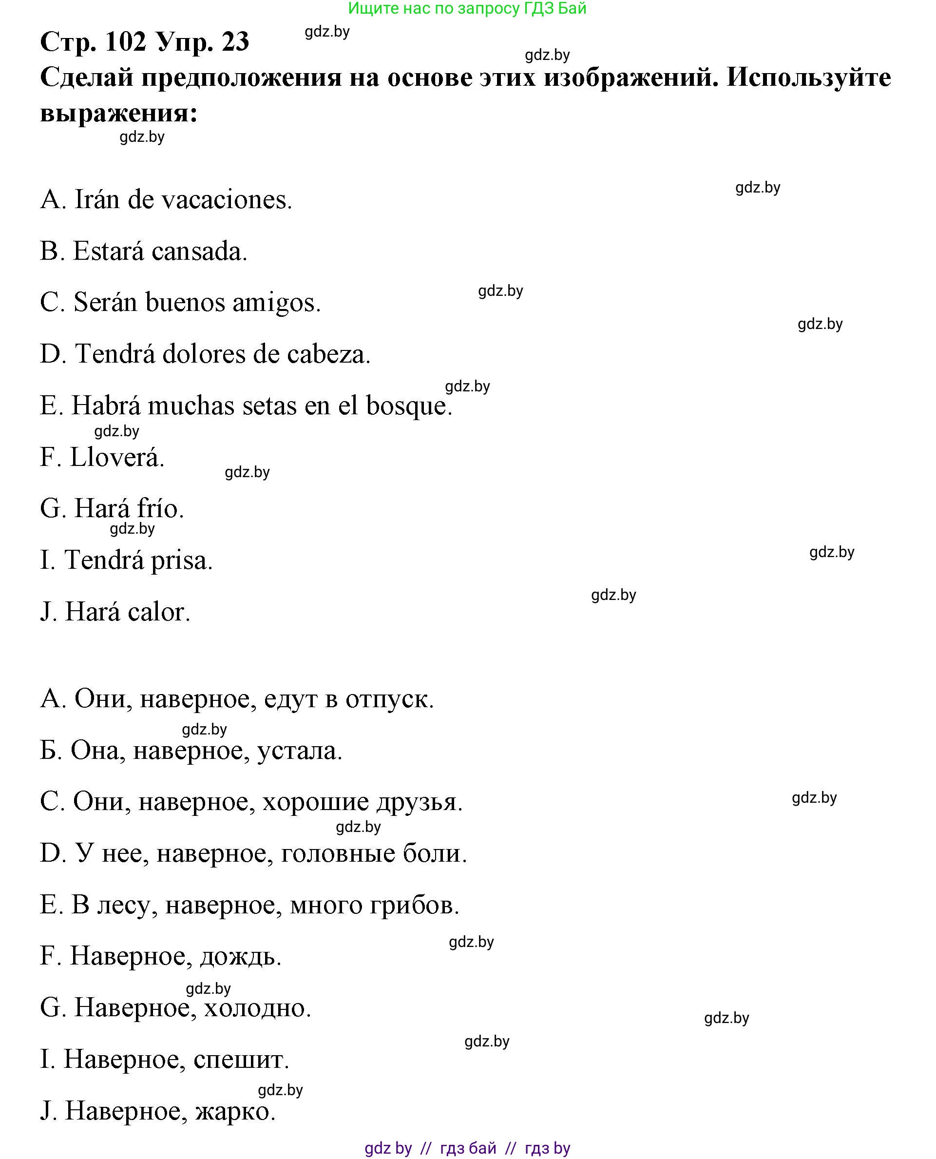 Испанский язык, 10 класс Учебник, авторы: Гриневич Елена Карловна, Янукенас Ольга Викторовна, издательство Вышэйшая школа, Минск, 2019, оранжевого цвета, страница 102, номер 23, Решение